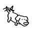 Cody icon