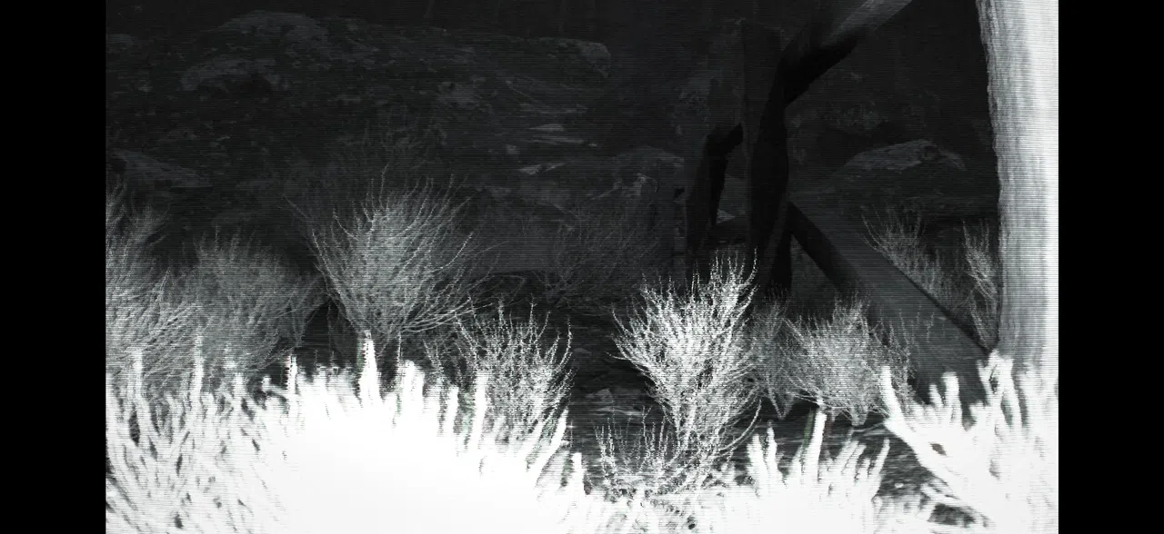 TRAILCAM Screenshot 4