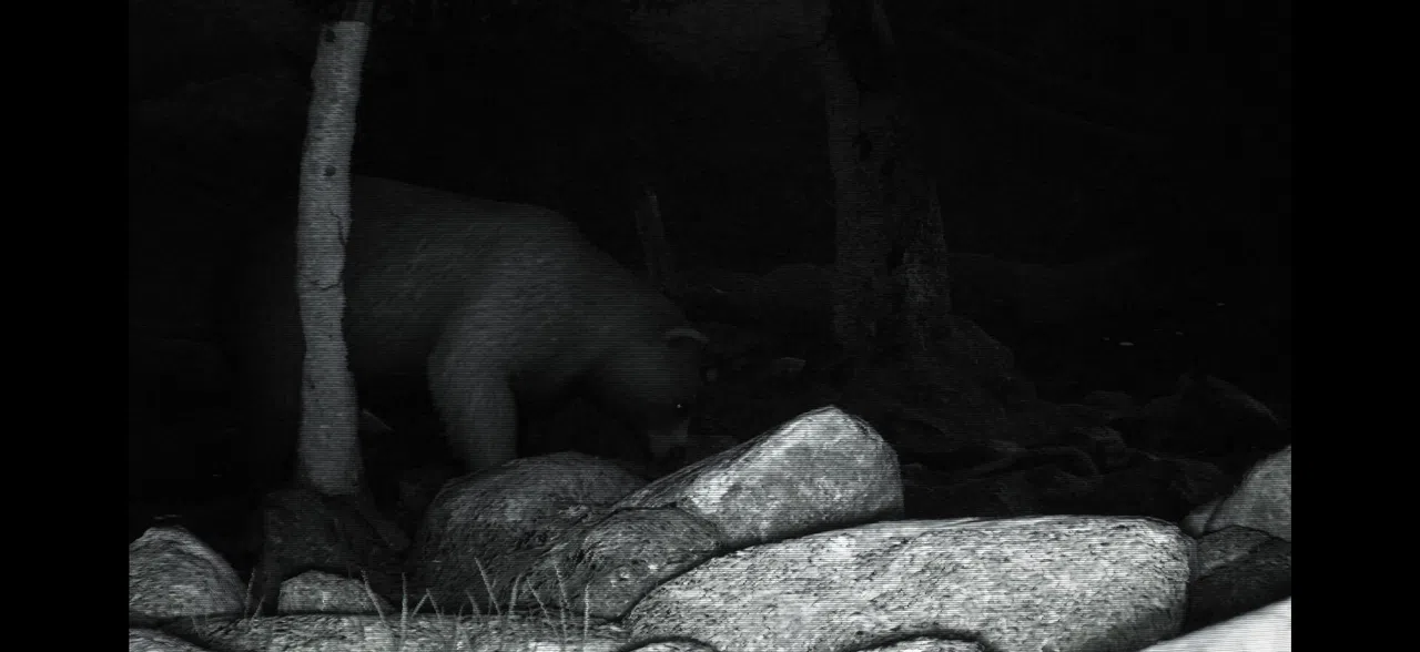 TRAILCAM Screenshot 2