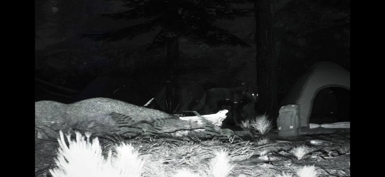 TRAILCAM Screenshot 1