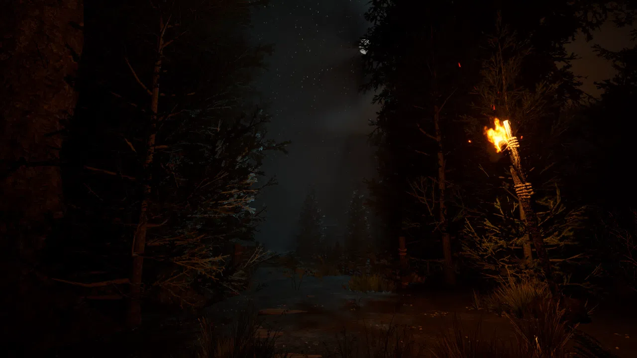 The veil of the forgotten Screenshot 3