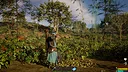 The Memory In Walden Pond Screenshot 4
