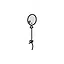 Balloon icon
