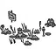 Frog Pond icon