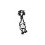 Chicken icon