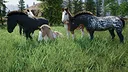 Wild Kingdom Screenshot 2