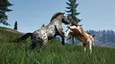 Wild Kingdom Screenshot 3