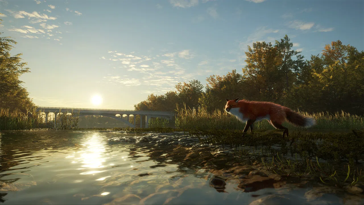 theHunter: Call of the Wild™ - Salzwiesen Park Screenshot 2