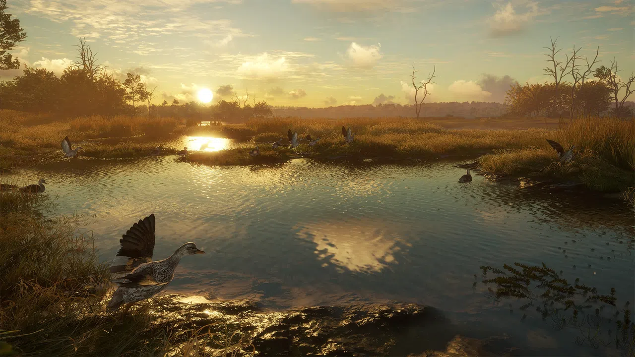 theHunter: Call of the Wild™ - Salzwiesen Park Screenshot 4
