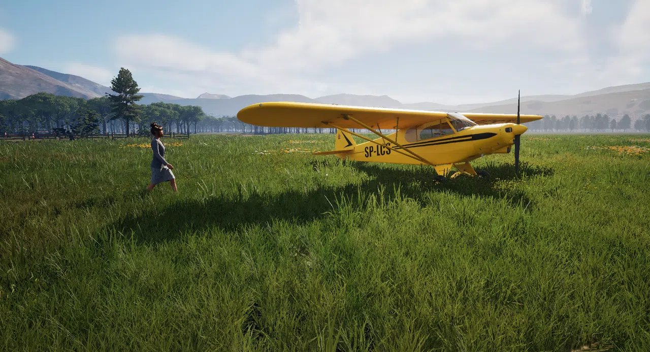 Airport Manager Screenshot 0