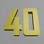 Level 40 icon