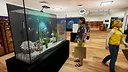 Aquatic Store Simulator Demo Screenshot 0