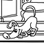Canis icon