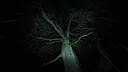 Wychwood Hollow Screenshot 16