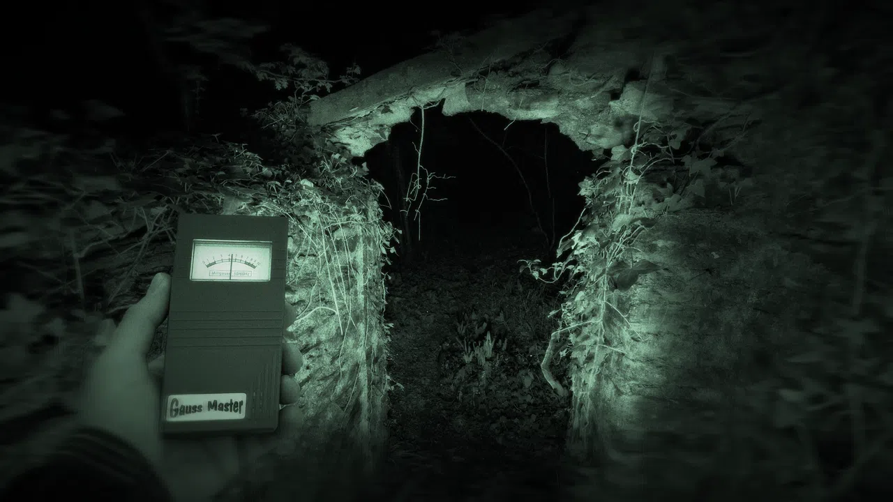 Wychwood Hollow Screenshot 13
