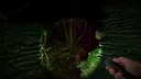 Wychwood Hollow Screenshot 10