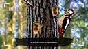 Wychwood Hollow Screenshot 11