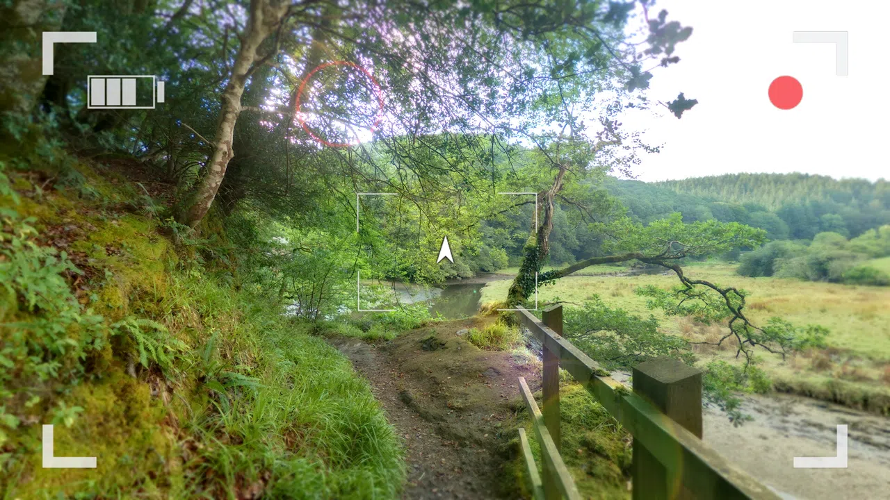 Wychwood Hollow Screenshot 4