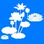 Lotus icon