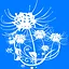 Lycoris icon