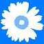 Gazania icon