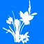 Narcissus icon