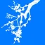 Ume icon