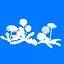 Dandelion icon