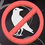 Birds Aren't Real icon