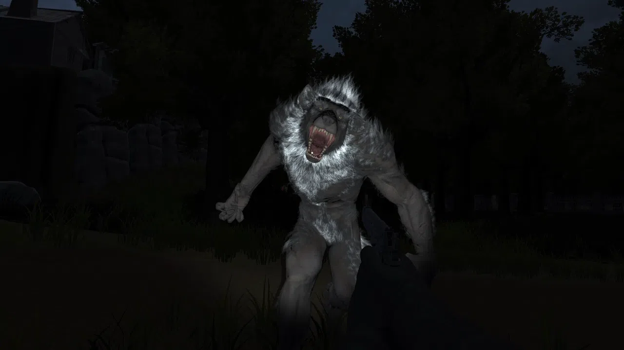 Far From The Darkness Screenshot 2