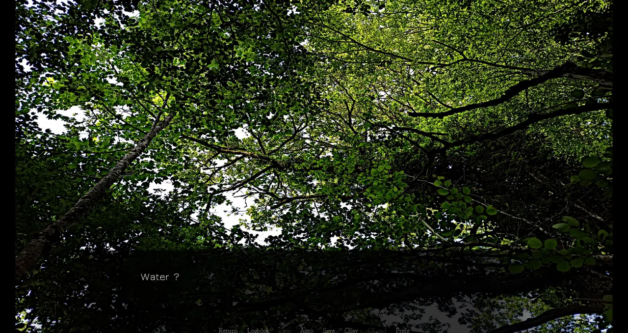 Ämäränth : The Last Day of My Adolescence Screenshot 4