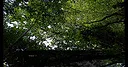 Ämäränth : The Last Day of My Adolescence Screenshot 4