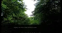 Ämäränth : The Last Day of My Adolescence Screenshot 2