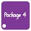 Package 4 icon