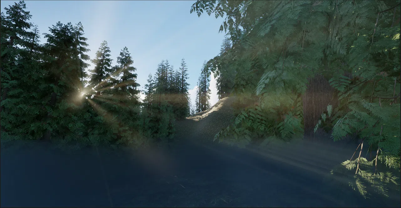 In The Woods Screenshot 3