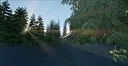 In The Woods Screenshot 3
