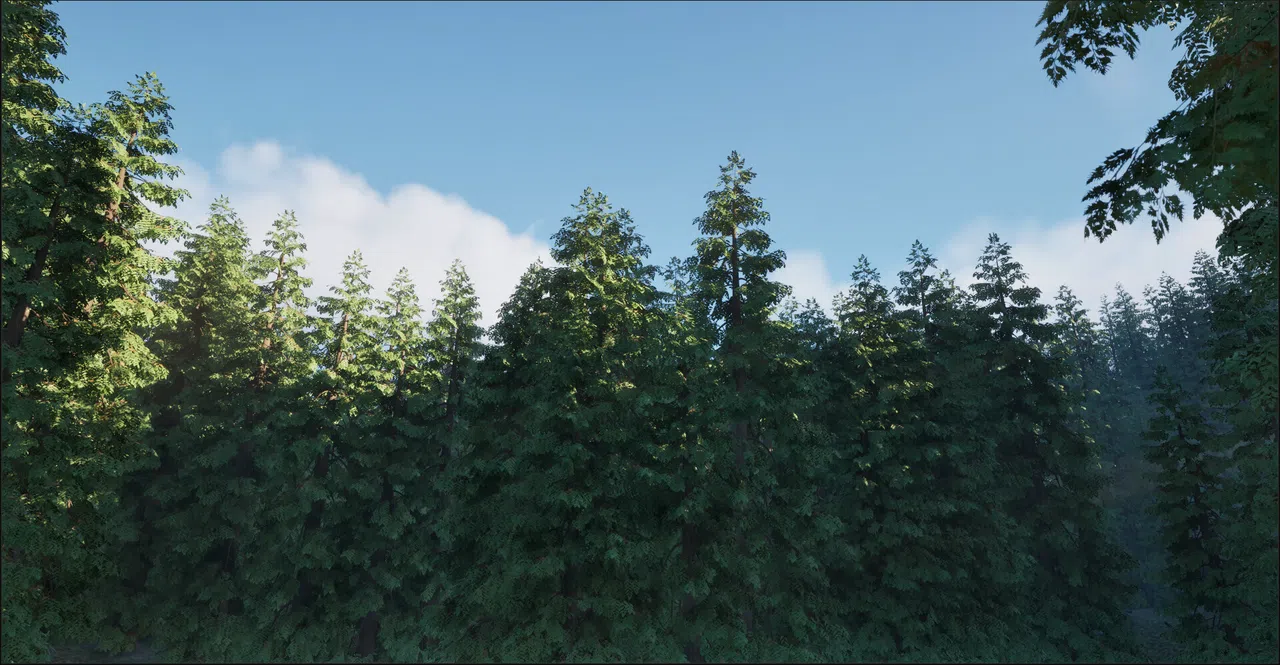 In The Woods Screenshot 4