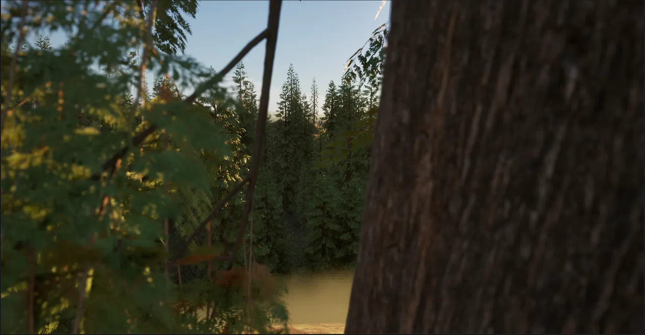 In The Woods Screenshot 1