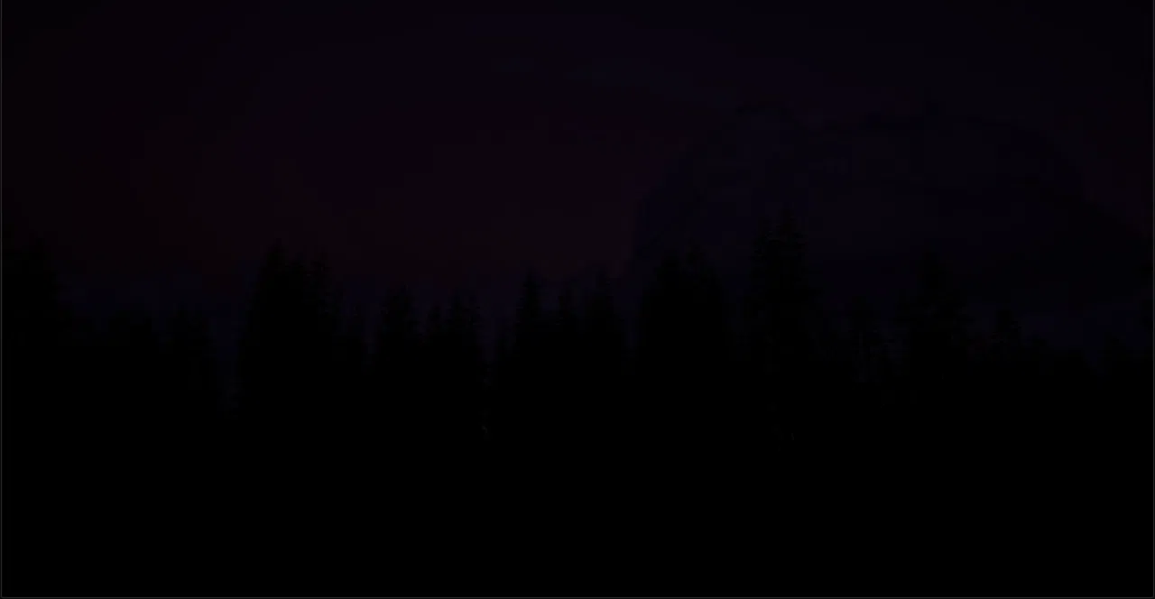 In The Woods Screenshot 5