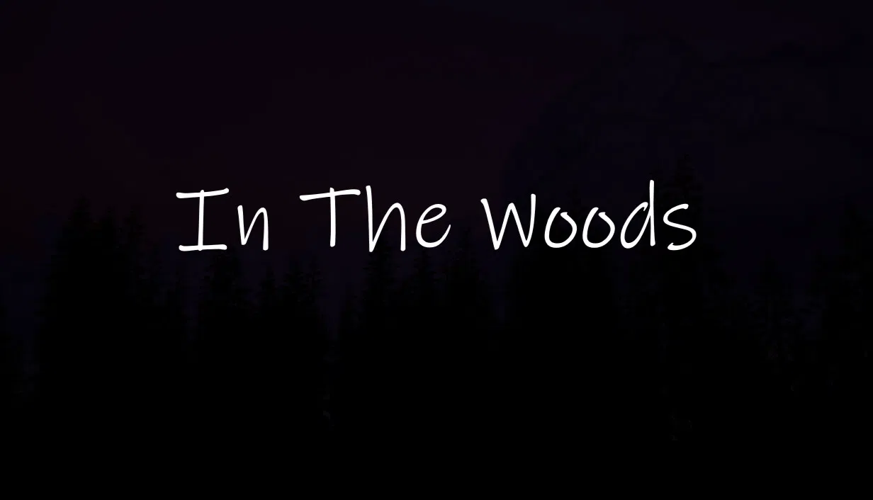 In The Woods Screenshot 0