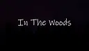 In The Woods Screenshot 0