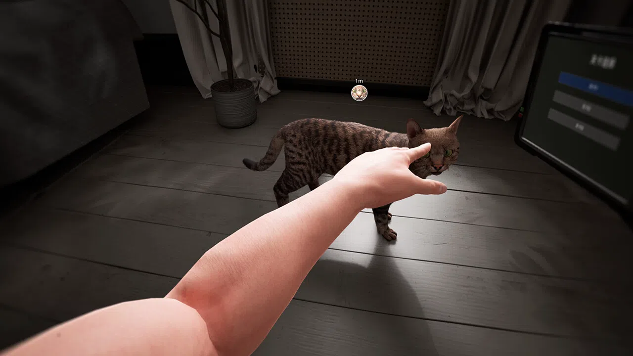 猫咪漂移 Cat Drift Screenshot 2