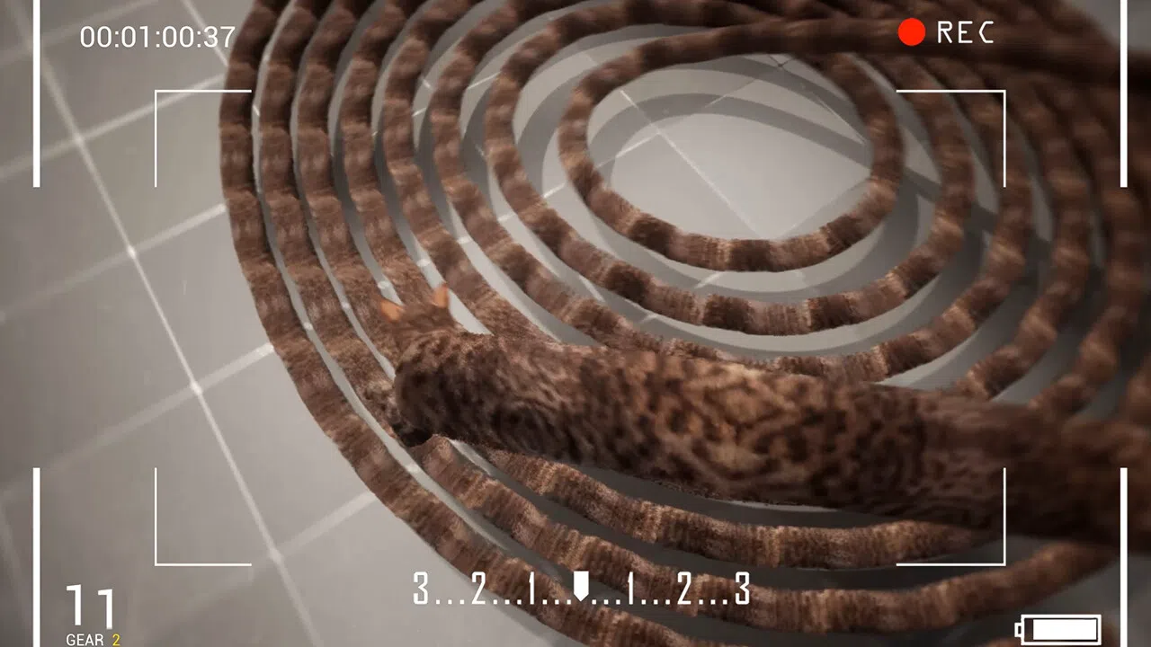 猫咪漂移 Cat Drift Screenshot 4