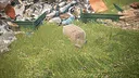 Trash Buster Simulator Screenshot 5