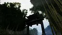 奇域空间(Wonderland Space) Screenshot 0