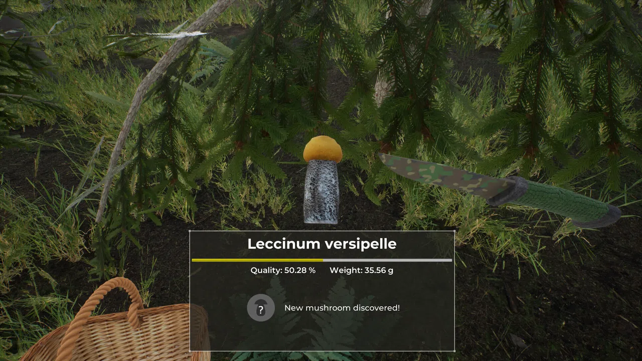 Mushroom Hunter World Screenshot 9