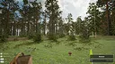 Mushroom Hunter World Screenshot 6