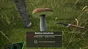 Mushroom Hunter World Screenshot 1