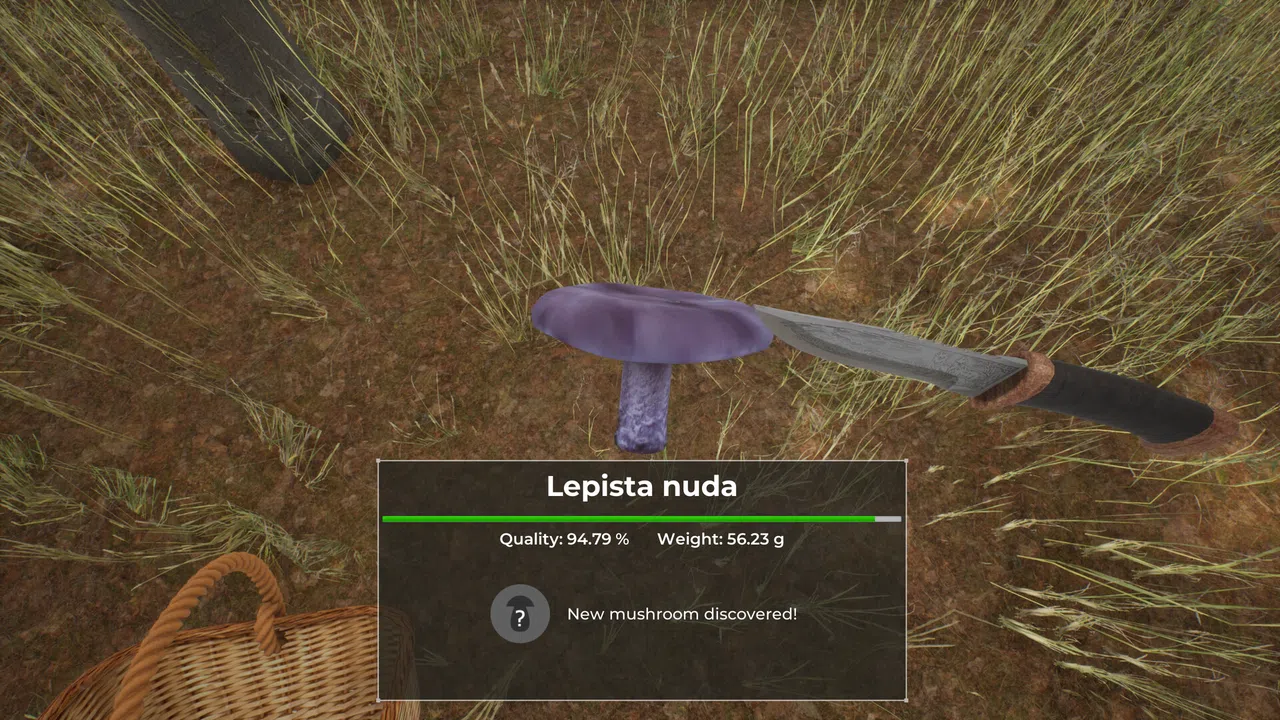 Mushroom Hunter World Screenshot 7