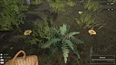 Mushroom Hunter World Screenshot 10